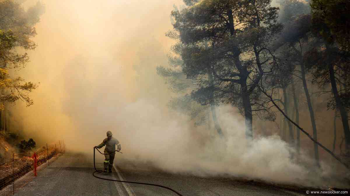 LIVE | Schade door natuurbranden in Griekenland groter dan gedacht: meer dan 10.000 hectare getroffen