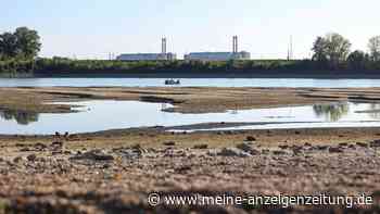 Ungarn stoppt Atomkraftwerk – Stromversorgung unter Druck