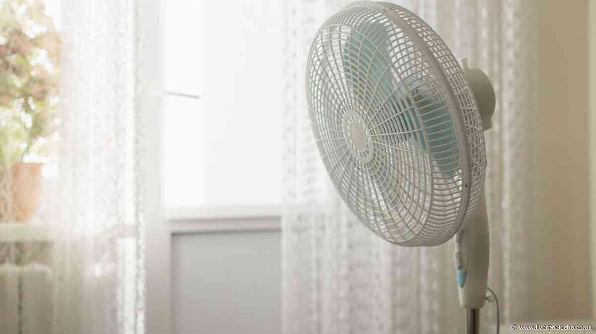 Fans will be cooler and more effective if common kitchen item is used with them