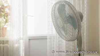Fans will be cooler and more effective if common kitchen item is used with them