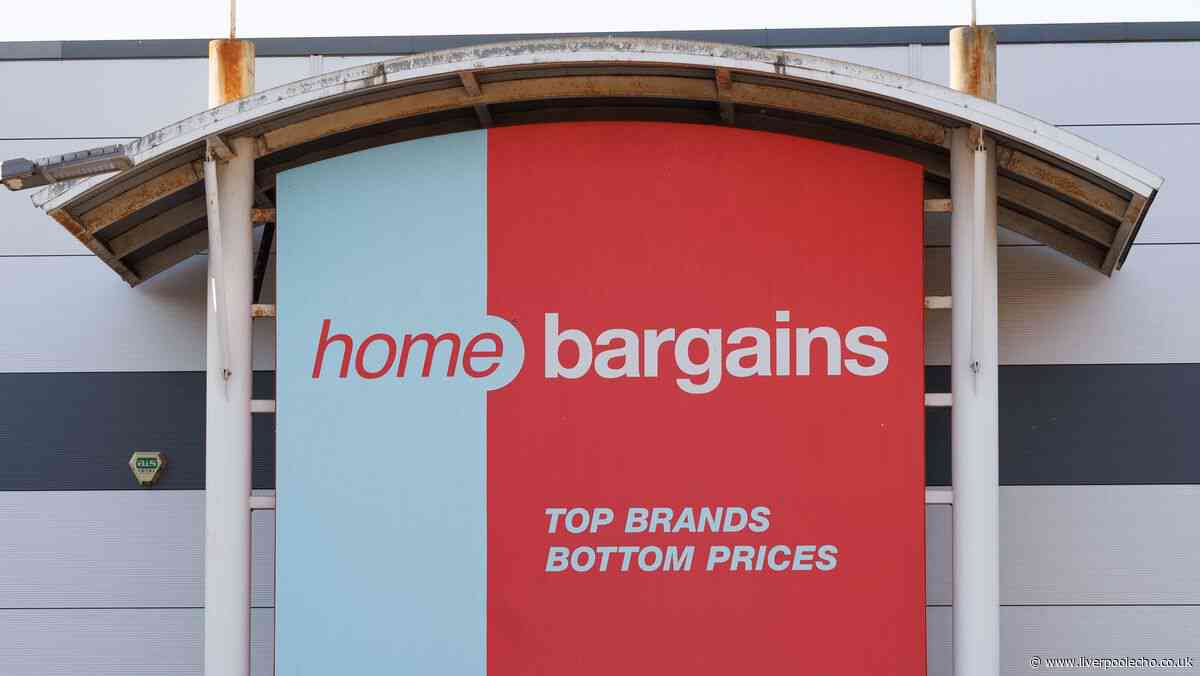 Home Bargains £2.99 gadget gives a 'healthy glass skin glow'