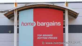 Home Bargains £2.99 gadget gives a 'healthy glass skin glow'