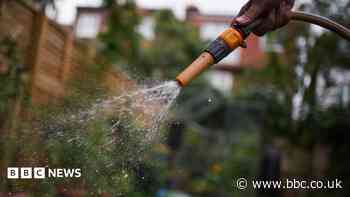 Who is exempt from hosepipe bans in the South?