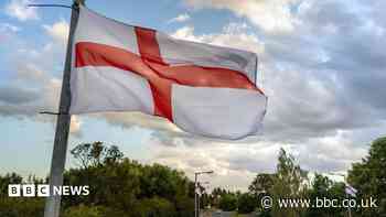 Judge hands down judgement on lamp-post flag ban