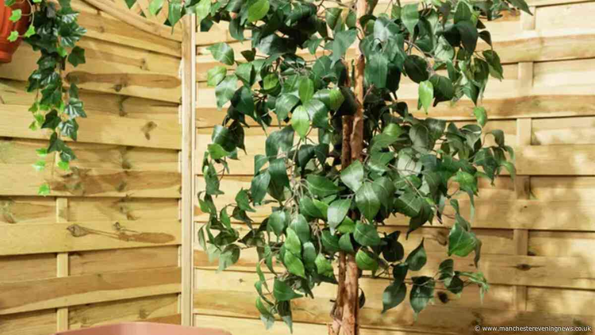 Gardeners can get 'durable and weather-resistant' plant pots for free at Argos this weekend