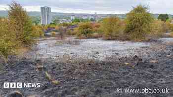 Fire damage on hills 'could take years to undo'