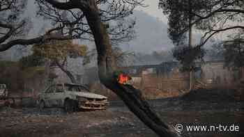 Wenige Kilometer vor Megara: Waldbrand westlich von Athen breitet sich aus