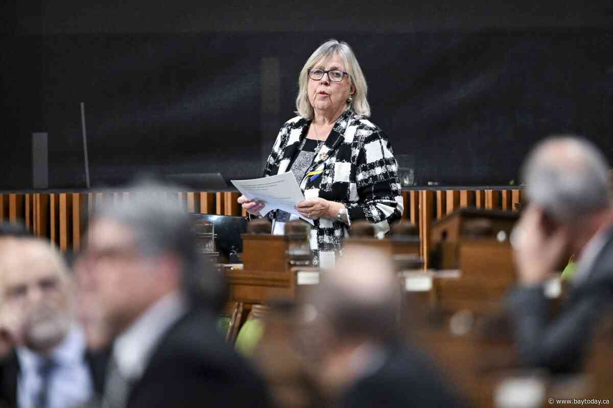 Elizabeth May says Greens can win byelection by campaigning on PM's climate record