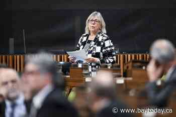 Elizabeth May says Greens can win byelection by campaigning on PM's climate record