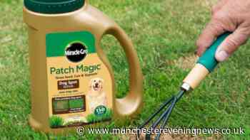 I found a brilliant £2.25 solution to quickly re-grow grass patches caused by dogs