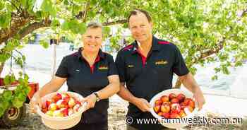 Sunny South West business fruitful for Donnybrook's Sue and Steve Collis