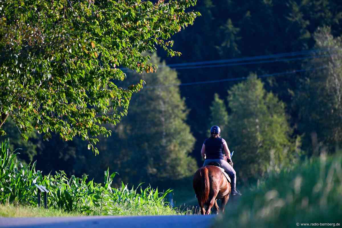 Junger Motorradfahrer rammt Pferd auf Feldweg