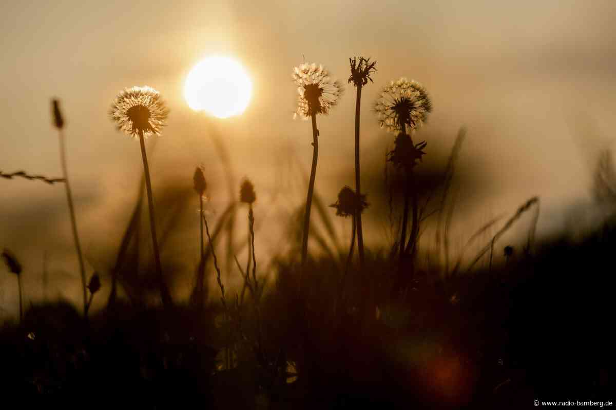 Bis zu 38 Grad und Unwetter: Hitze breitet sich aus