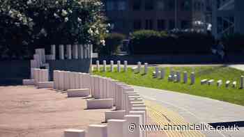 NOVUM Festival brings city-wide domino run to Newcastle's streets in August