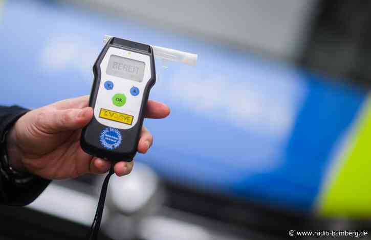 Betrunkener Lkw-Fahrer rammt Laterne und verletzt Polizisten