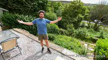 Bristol second on UK's Japanese knotweed hotspot list - as infestation leaves dad with £15k bill
