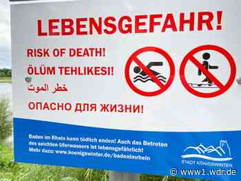 Kein Badeverbot: Schwimmen im Rhein bei Bonn erlaubt