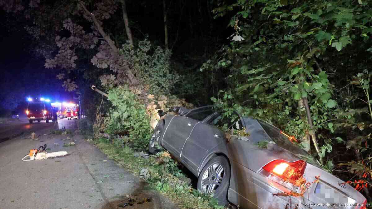 Betrunkener 16-Jähriger kracht mit Auto gegen mehrere Bäume