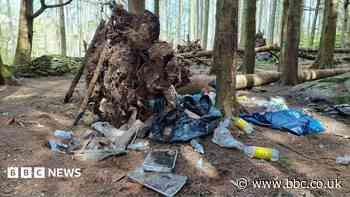Poo, parking and poor pitching - the Lake District's summer battles