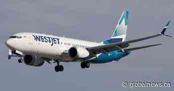 WestJet flight attendants on strike as company suspends most bookings