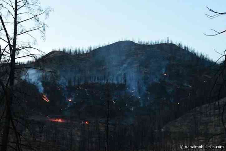 Blue Grouse Creek wildfire in West Kelowna remains out of control