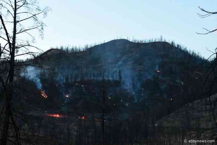 Blue Grouse Creek wildfire in West Kelowna remains out of control