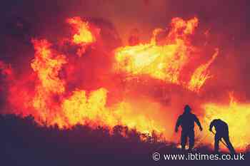 Spokane Fires Update: Three Major Wildfires Strike as Governor Declares Emergency