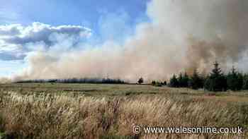 Update issued on Llanwonno wildfire as public issued safety advice