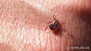 What to know to keep yourself safe from ticks this summer