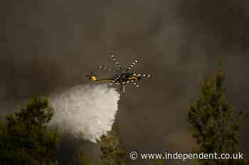 Greece crash latest: Two helicopters collide while fighting wildfires as search and rescue underway