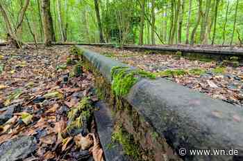 Die dunkle Seite der Niemandsgleise in Hiltrup