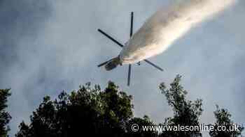 Two helicopters crash in Greece fighting wildfires as search and rescue launched
