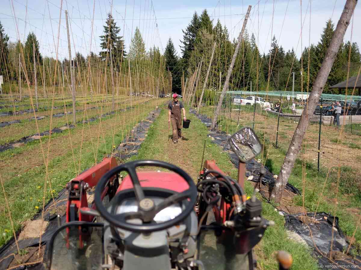 'A handoff, not a goodbye': B.C. brewery seeks new owner