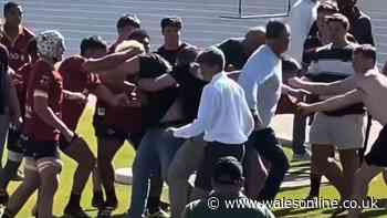 School rugby match abandoned as parents fight and Springbok calls for lifetime bans