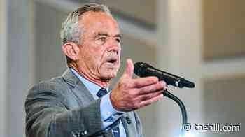 RFK Jr., Bash clash in heated interview: ‘This is not productive’