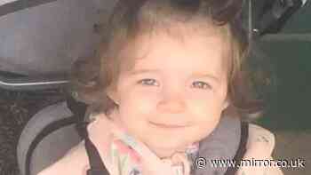 Child abuser had warrant for arrest 18 months before murdering girlfriend's toddler