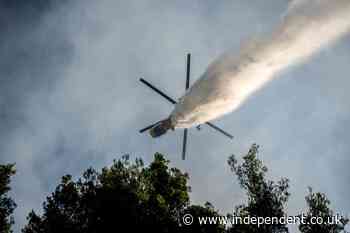 Greece crash latest: Two dead after helicopters collide while fighting wildfires