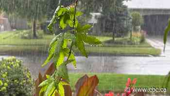 Environment Canada issues yellow rainfall warning for Niagara, Hamilton and St. Catharines