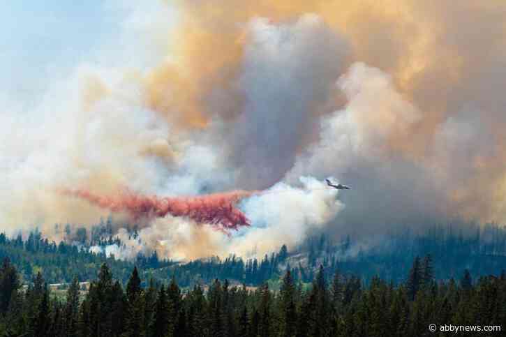 Guichon Creek fire near Logan Lake classed as Being Held