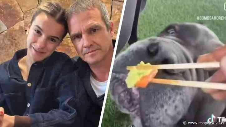 Influencer Josefa Sáez y su padre tras polémico video: "Ese perro no puede estar en mejores manos"