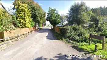 Boy, three, is rushed to hospital with serious injuries after being hit by van at campsite