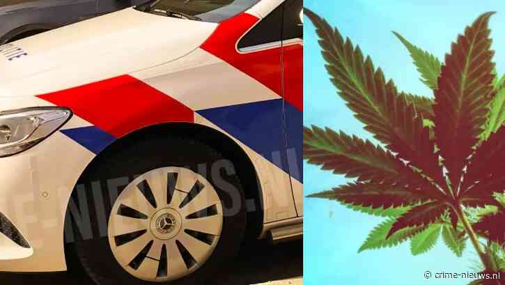Verborgen achter vier muren: politie ontdekt gigantische wietkwekerij na anonieme tip
