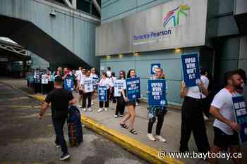 Passengers looking for options as flights grounded in WestJet strike