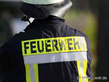 Feuerwehr bekämpft Flächenbrand in Bergheim
