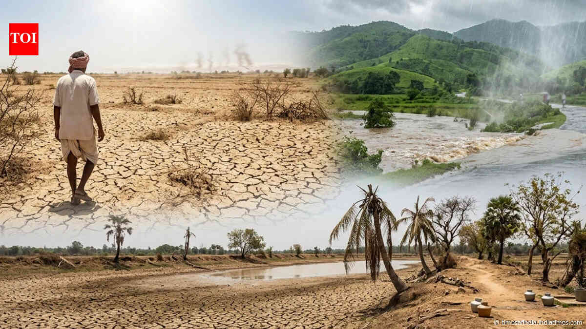 Heat, drought and rainfall extremes expanding across India; northwest emerging as heat hotspot: Study