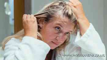 'My hairdresser noticed new hairs' after woman finds tool now £100 off
