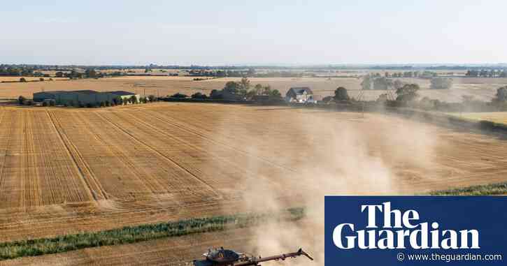 Britain could face food shortages as drought continues, farmers warn