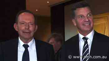 ‘No corruption’: Abbott says ICAC a factional hit job as Taylor faces questions