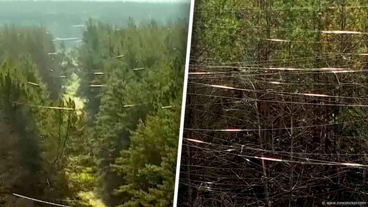 Bizar beeld: Oekraïens bos hangt vol met glasvezelkabel