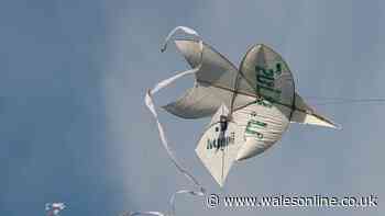 Fears over 'kite-fighting' by groups of men on Welsh beaches